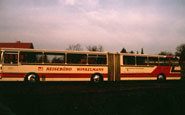 1989 - Erweiterung Linienverkehr